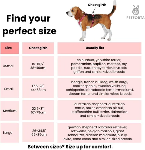 Vista 3 de Anatomically Correct - Arnés para perro en forma de Y, no restrictivo, sin tirones, ajustable de 6 puntos para movimiento natural, a prueba