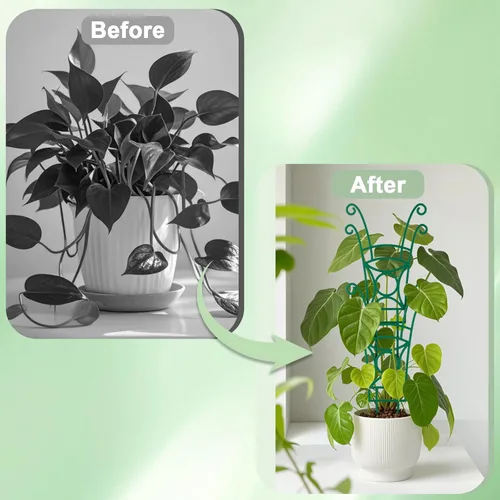 Vista 5 de Paquete de 4 enrejados apilables para plantas trepadoras, enrejado de jardín para interiores y exteriores, soporte para plantas de hiedra, hoya