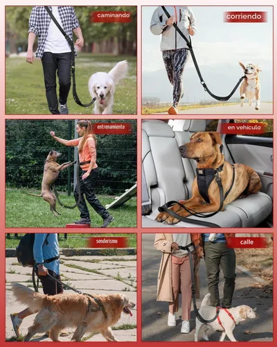 Vista 8 de Juego de correa para perro manos libres y cinturón de seguridad para Asas dobles suaves, absorben los golpes, clip de 360°, diseño reflectante