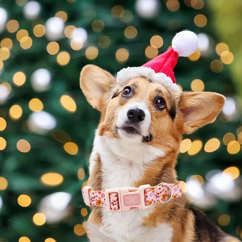 Vista 6 de Elegant little tail Collar para perro, collar de Navidad ajustable para perros pequeños, medianos y grandes, collares suaves para cachorros