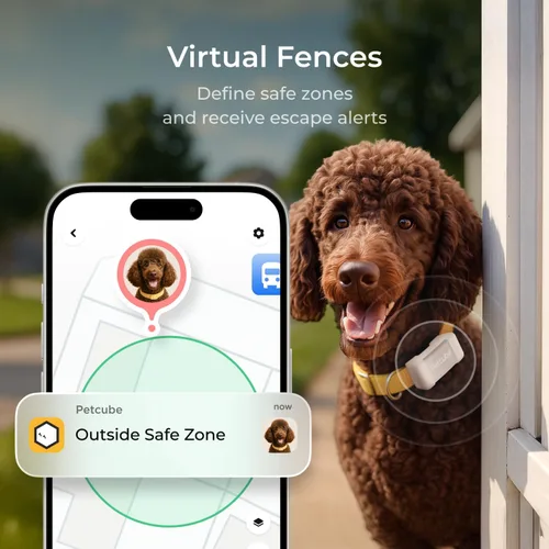 Vista 4 de Petcube GPS Tracker para perros - Seguimiento GPS en tiempo real y alertas de escape Vallas virtuales, monitoreo de actividad y bienestar, brillo