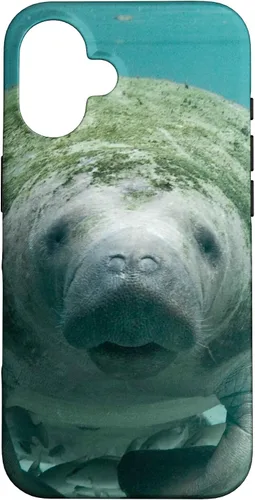 Vista 32 de Manatee Case for iPhone 17