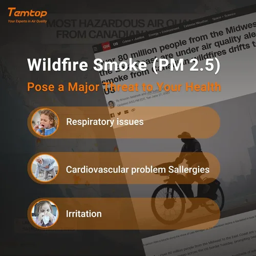 Vista 2 de Temtop Monitor PM2.5 P600, medidor esencial de partículas de aire PM2.5 PM10 probador de calidad del aire para detección de contaminación del aire