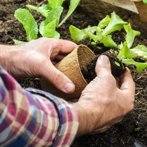 Vista 5 de Paquete de 100 macetas de turba de 4 pulgadas, macetas biodegradables con agujeros de drenaje para jardinería interior/exterior, macetas ecológicas