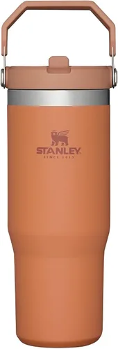 Vista 124 de STANLEY IceFlow 2.0 - Vaso con pajilla abatible con asa, 30 onzas, tapa giratoria y popote abatible, botella de agua a prueba de fugas, acero Tiza