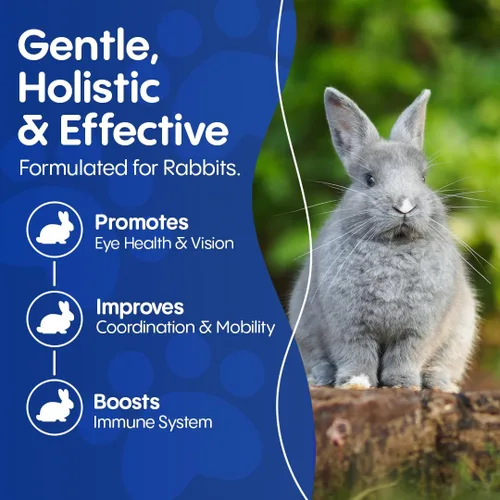 Vista 4 de HealthyAnimals4Ever Rabbit E. Cuniculi - Tratamiento para infecciones