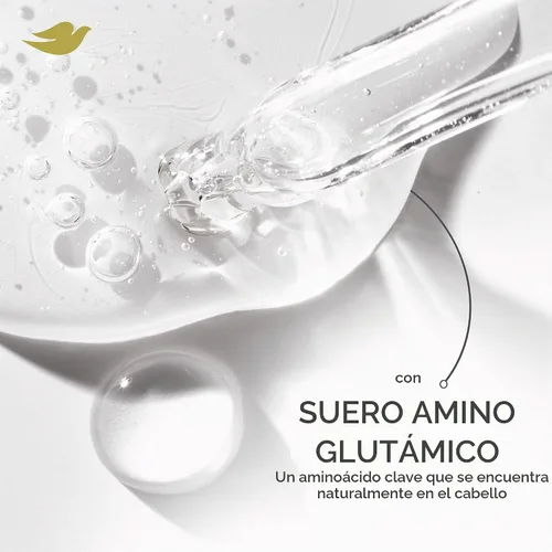 Vista 7 de Dove Champú Nutritive Solutions Daily Moisture hidratante para cabello seco, 12 onzas líquidas (4 unidades)