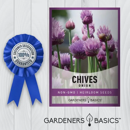 Vista 5 de Las semillas de cebollino para plantar son una reliquia, variedad de hierbas sin OMG, semillas de hierbas de cebolla común, ideales para jardinería
