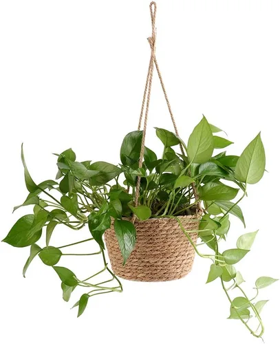 Vista 8 de WYSRJ - Maceta colgante de cuerda de yute de 8 pulgadas, cesta tejida para plantas, macramé, soporte para plantas, cestas de almacenamiento