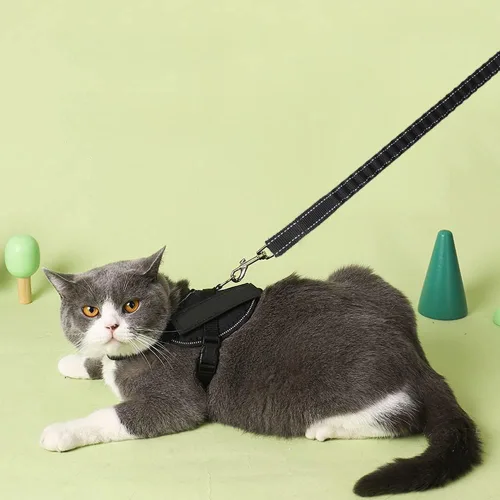 Vista 7 de Correa elástica reflectante de 5 a 7 pies, sin tirones para absorción de impactos, correa elástica de nailon para perros pequeños y medianos/gatos