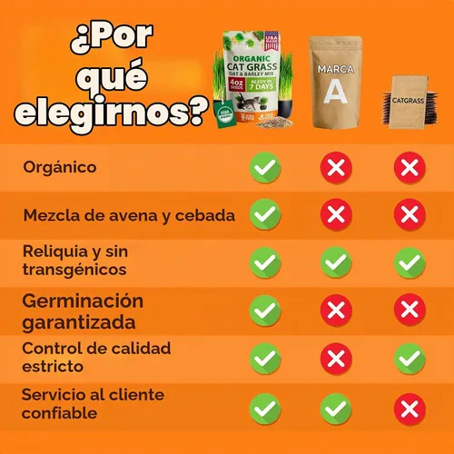 Vista 6 de HOME GROWN Mezcla orgánica de semillas de hierba de gato (avena y cebada) – 4 oz – Maceta de interior fácil