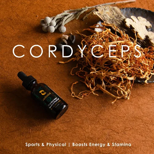 Vista 3 de Redmint Cordyceps - Tintura de hierbas de hongos - Deportes y físicos Arraigado en la sabiduría antigua de TCM Suplemento de mezcla de hongos