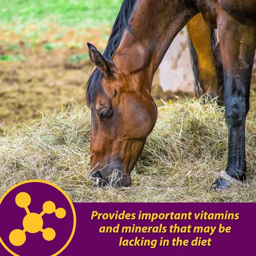 Vista 4 de Farnam Horse Health - Gránulos de glóbulos rojos, suplemento de vitaminas y hierro y minerales para caballos, ayuda a llenar importantes lagunas