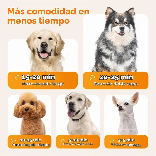 Vista 5 de Pecute Secador de perros de alta velocidad, velocidad y temperatura