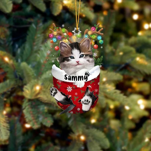 Vista 23 de Adorno personalizado de gato de rizo americano, adorno personalizado con nombre de mascota, colgante acrílico plano impreso en 2D, Papá Noel y gato
