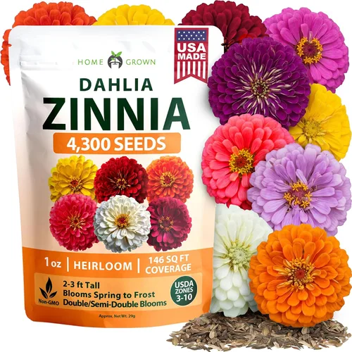 Vista 147 de HOME GROWN Bachelor Button Tall Mix 700+ Semillas de flores Centaurea