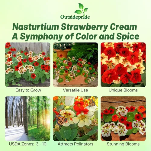 Vista 2 de Outsidepride Semillas de capuchina en crema de fresa, 25 unidades, anuales, fáciles de cultivar y versátiles, semillas de flores para plantar flores