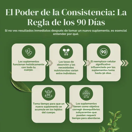 Vista 6 de Extracto de grano de café verde puro, apoyo energético y de enfoque mental