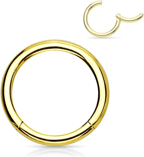 Vista 73 de Forbidden Body Jewelry - Piercing para la nariz de acero quirúrgico 316L con bisagra, 14G, 16G, 18G, diámetro de 15/64, 5/16, 25/64, 15/32 pulgadas