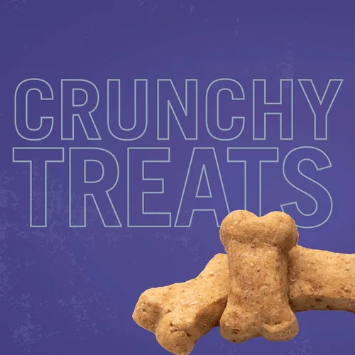 Vista 5 de Three Dog Bakery Crunchy Itty Bitty Bones, sabor a mantequilla de maní, golosinas prémium para perros, caja de 13 onzas