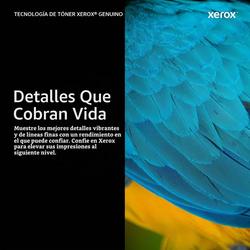 Vista 3 de Xerox B310 Black Standard Toner cartucho de tóner Negro