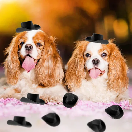 Vista 7 de 20pcs Mini plástico lindo muñeca vaquero occidental sombrero (negro)