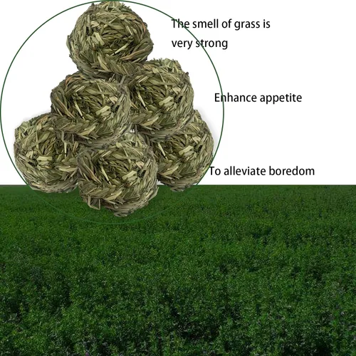 Vista 5 de 6 piezas Bunny Timothy Grass Ball Natural Chew Toy Woven Masticar Juguetes Conejo Molar Pequeños Animales Molar Dientes Adecuado para Hámster