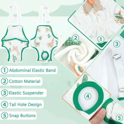 Vista 3 de QBLEEV Pañales para perras para hembra, lavables, sanitarios, con tirantes ajustables, pañales reutilizables para perros machos en celo, lindas Verde
