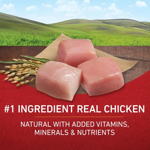 Vista 4 de Purina ONE SmartBlend - Alimento seco natural para perros adultos