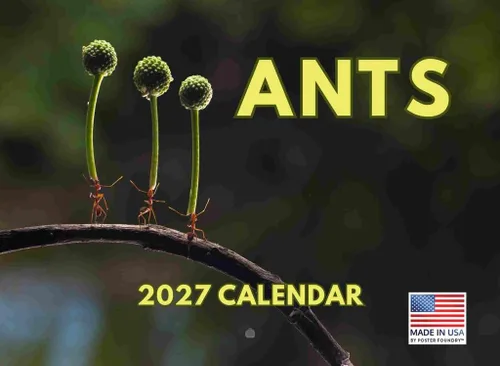 Vista 25 de Calendario mensual de pared de alpaca 2025 Fabricado en Estados Unidos