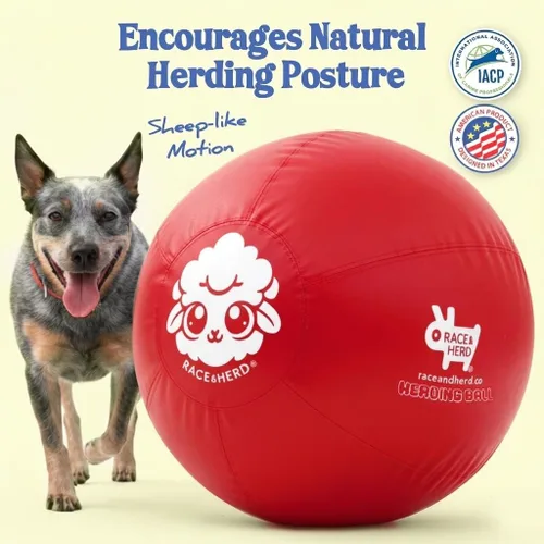 Vista 2 de Race&Herd Pelota de pastoreo XXL original de 25 pulgadas para perros grandes, juguetes de pastoreo, pelota duradera para perros grandes al aire