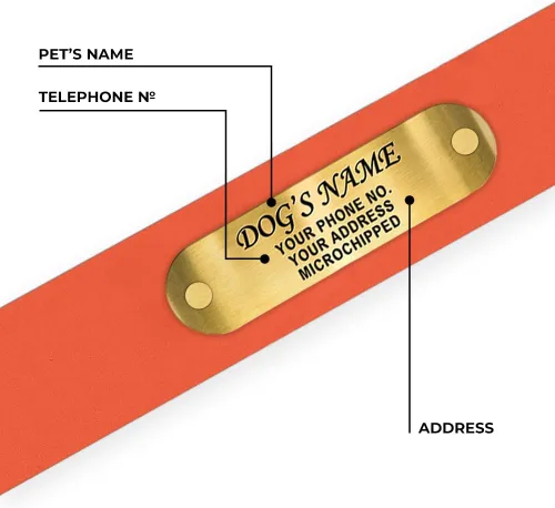 Vista 7 de Regal Dog Products Collar de Perro Naranja Mediano con Placa de Nombre Grabada Personalizada - Ajuste Personalizado, Resistente, Fácil de Limpiar