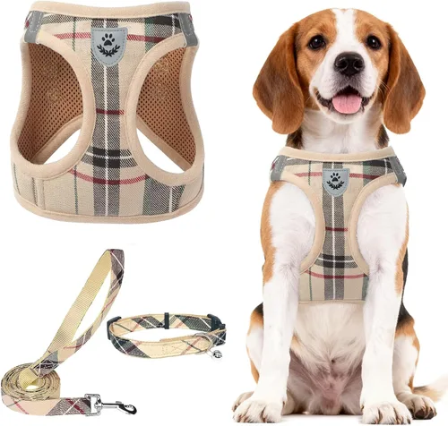 Vista 58 de PUPTECK - Arnés, collar y correa ajustables, sin tirones, para perros pequeños y medianos, cachorros y gatos, pechera reflectante acolchada de malla