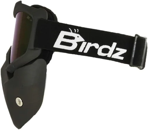 Vista 2 de Birdz Skullbird - Gafas protectoras acolchadas para motocicleta ATV, color negro, con cubrebocas