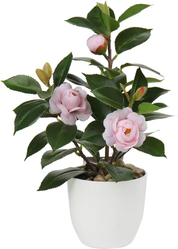Vista 8 de Briful Plantas artificiales en maceta de camelia, pequeñas plantas de plástico sintético, plantas de escritorio, flores artificiales con jarrón