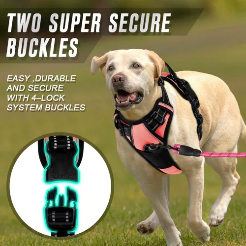 Vista 79 de BARKBAY - Arnés para perro sin tirones con clip frontal, material resistente y reflectante, asa de fácil control para pasear perros grandes
