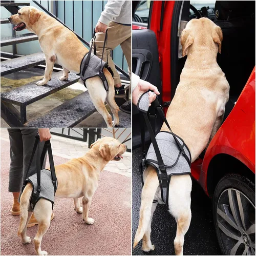 Vista 5 de Dotoner Arnés para perros grandes, soporte para las patas traseras para ayudar a rehabilitar las extremidades traseras de perros ancianos con patas