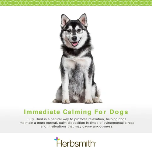 Vista 2 de Herbsmith Tercer de julio - Masticables calmantes caninos - Hierbas calmantes para perros - Suplementos de ansiedad para perros - Masticables