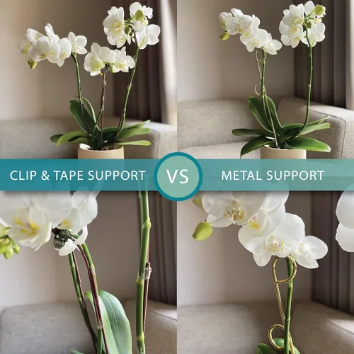 Vista 4 de Pequeño enrejado de metal para plantas de interior, estacas de metal para plantas trepadoras, soporte para plantas en maceta, orquídeas, Monstera