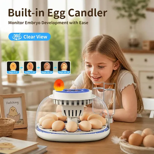 Vista 5 de Incubadora de 12 huevos con pantalla de temperatura y humedad, giro automático de huevos, vela de huevos, recarga automática de agua, para huevos