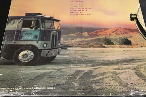 Vista 2 de Scenic Views Vinyl