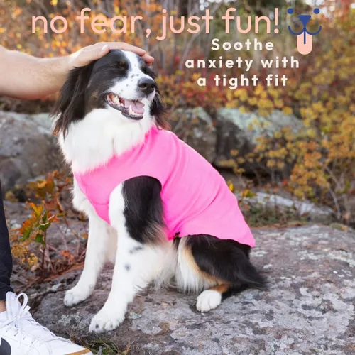 Vista 4 de Goldpaw - Chaqueta elástica de vellón para perros pequeños, suéter súper suave y cálido para perro, chaleco de suéter para mascotas para otoño e