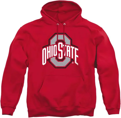 Vista 174 de Distressed College Primary Logo Adult Pullover Hoodie Collection 1 Universidad Estatal de Albany