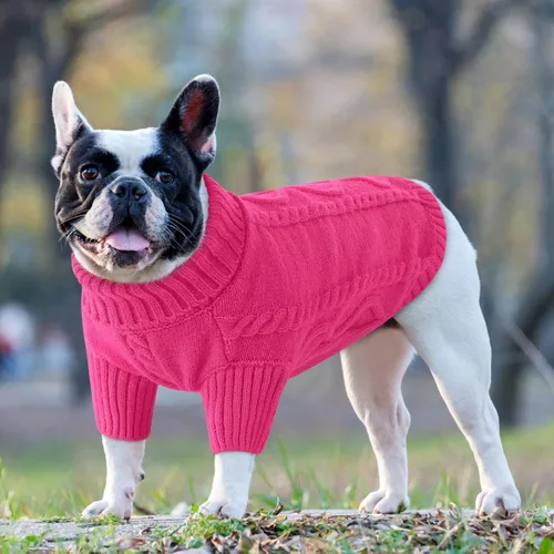 Vista 38 de Queenmore - Suéter de punto trenzado con cuello alto para perros pequeños, para climas fríos, para chihuahua, bulldog, teckel, carlino y yorkie, XS