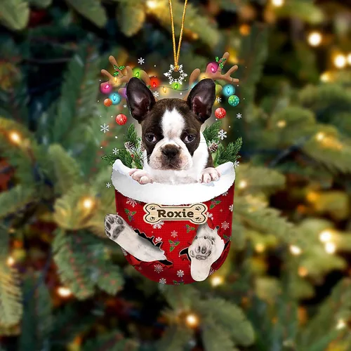 Vista 182 de LOVELYPOD Adorno Personalizado de Perro Affenpinscher, Adornos de Navidad Affenpinscher Regalo para Amante de Perros, Adorno de Navidad Colgante