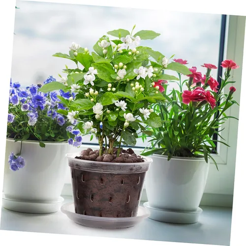 Vista 5 de 3 macetas de plástico translúcido para orquídeas para agujeros de drenaje, macetas de interior para plantas y platillos Set, Sturdy Crack Resistant