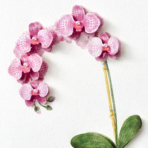 Vista 4 de Tarjeta de cumpleaños Hallmark Signature para ella (Orquídea)