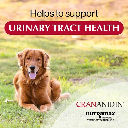 Vista 8 de Nutramax Laboratories Crananidin Extracto de Arándano Suplemento para la Salud del Tracto Urinario para Perros, 75 Tabletas masticables