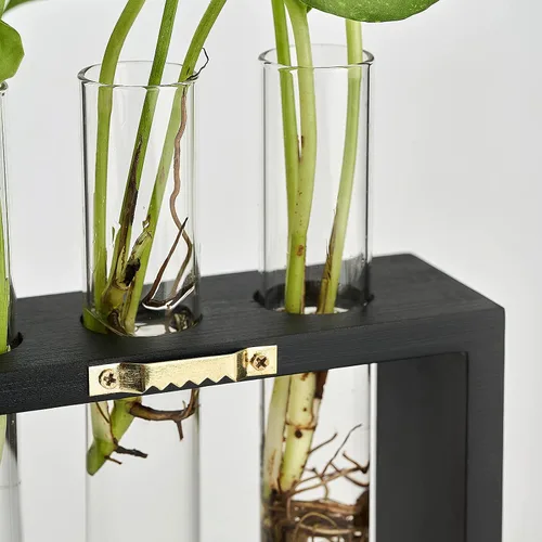 Vista 4 de Mkono Estación de propagación de plantas para colgar en la pared, 5 tubos con soporte de madera, terrario de plantas de escritorio para plantas