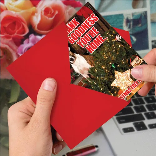 Vista 4 de NobleWorks Paquete a granel de 36 tarjetas de felicitación divertidas de Navidad con sobres, tarjetas divertidas en caja para perros y mujeres